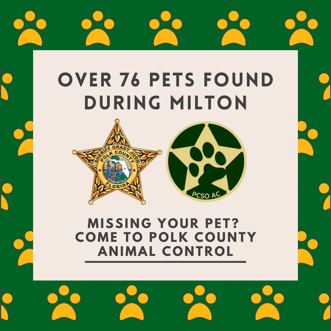 Over 76 Pets found during Milton 