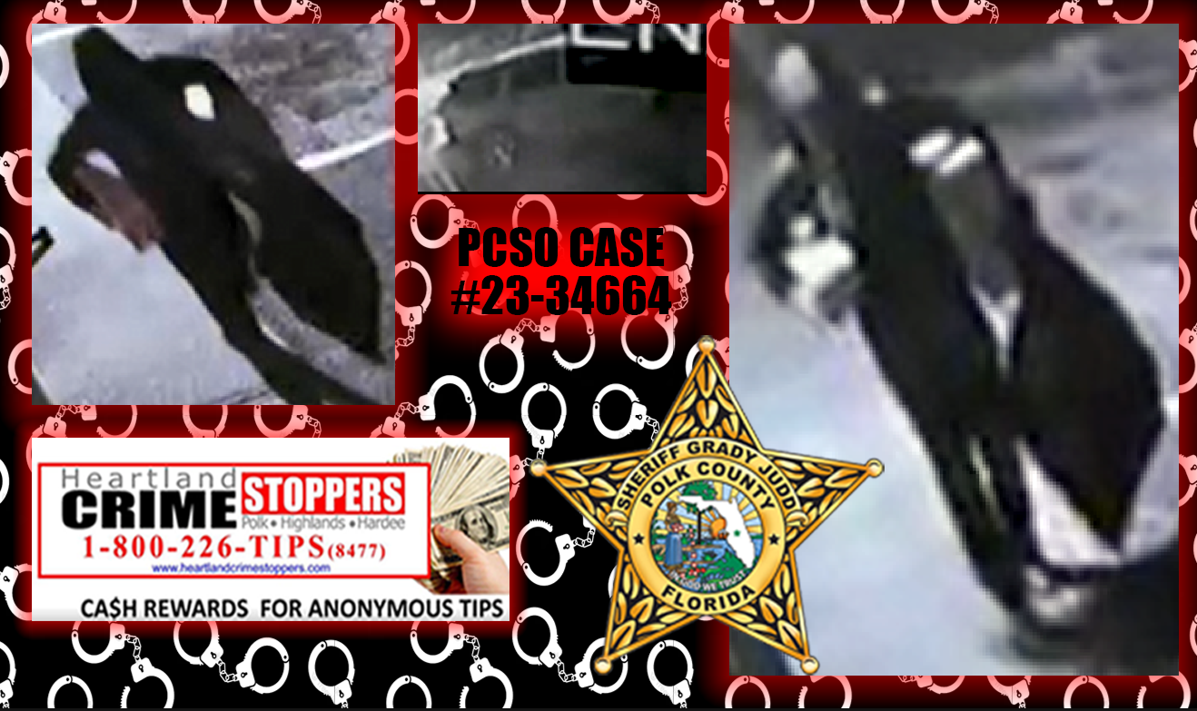 suspect photo