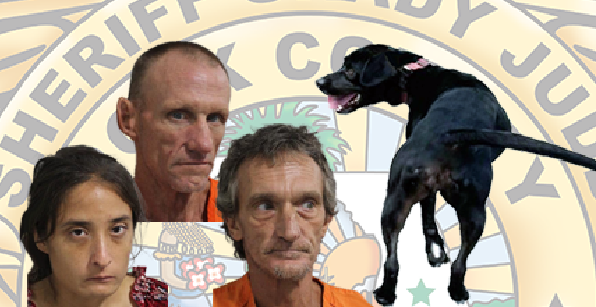 suspects