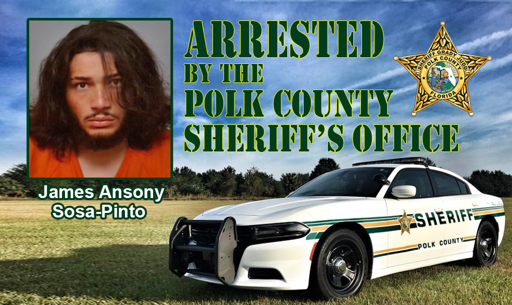 James Ansony Sosa-Pinto