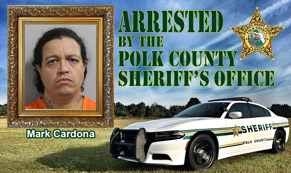 Mark Cardona