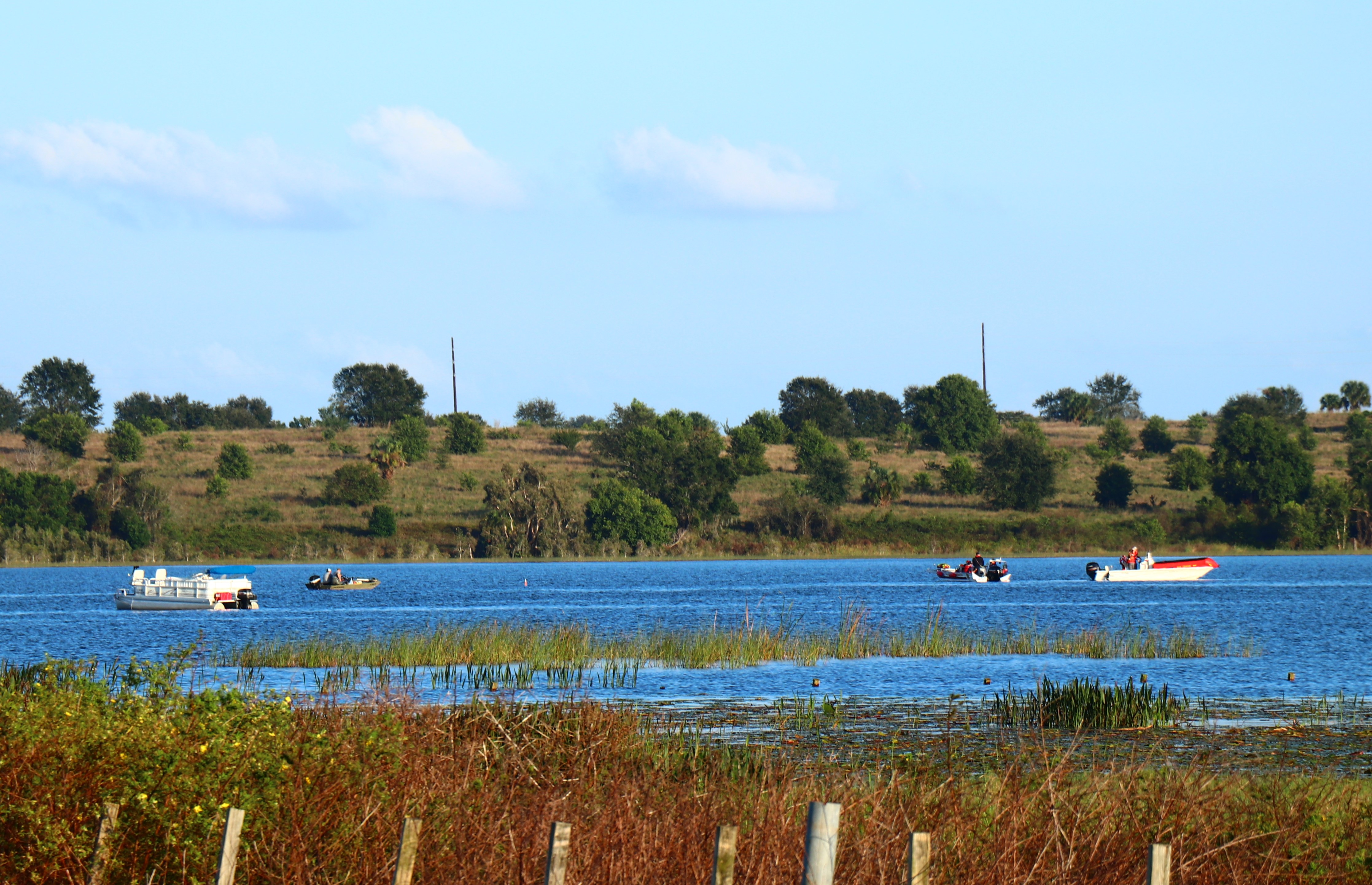 search for boy in lake