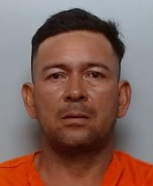 Jhonnys Robles Pereira