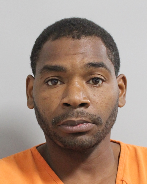 Lakeland man arrested after firing gunshots in the street over his job ...