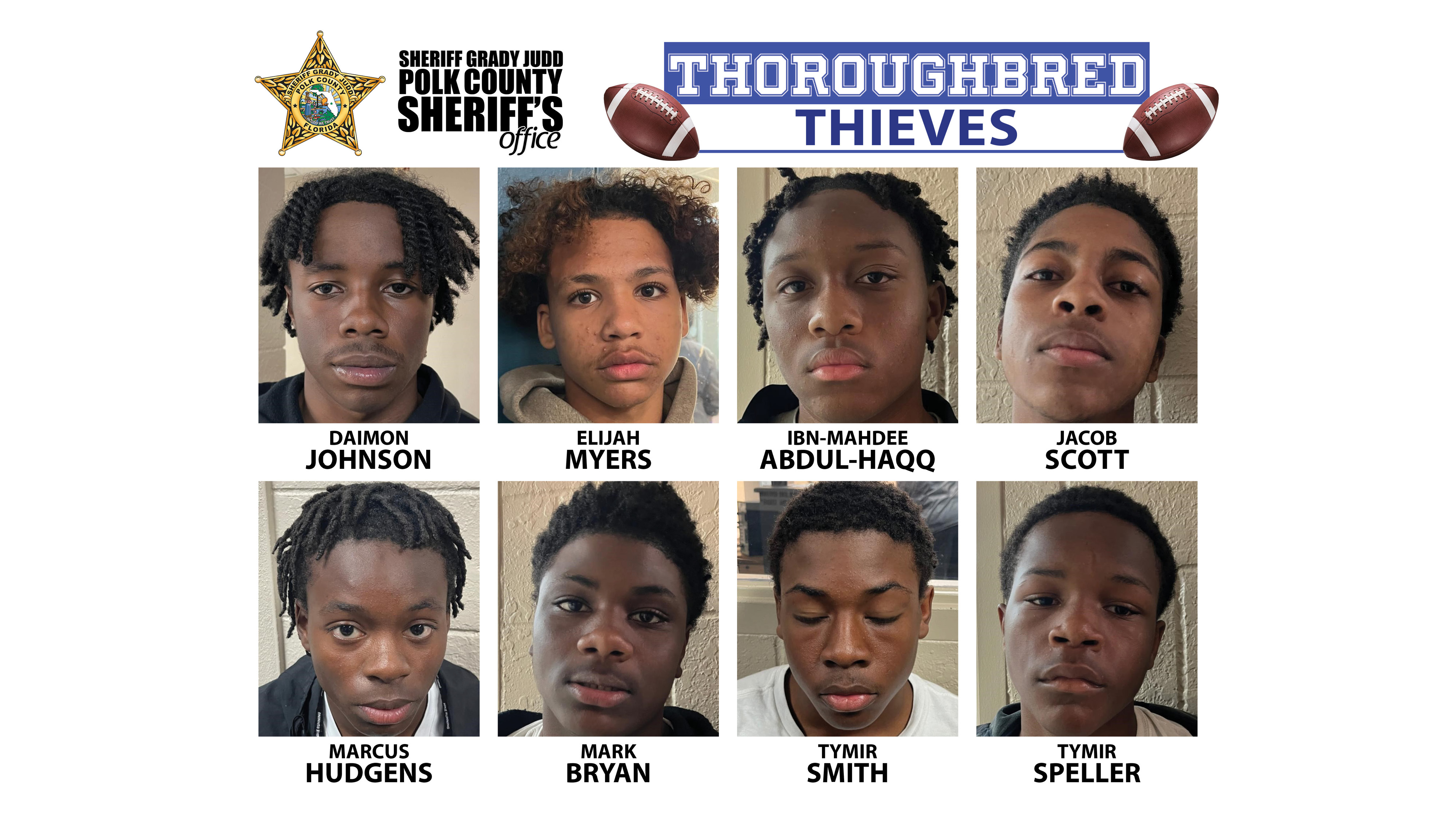 Thoroughbred Thieves