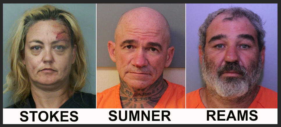 Mugshots of three arrested